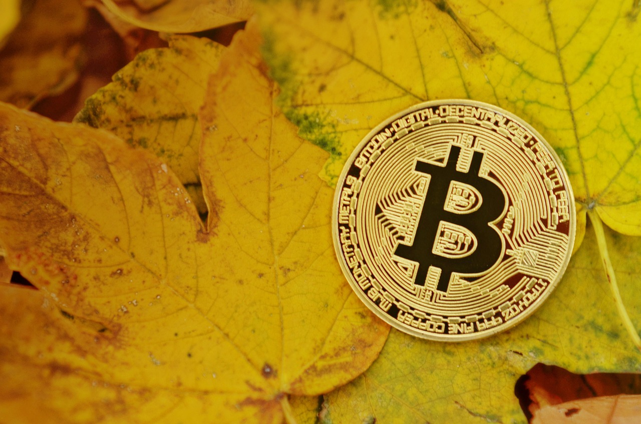 绕过立法实现加密货币支付！巴拿马市宣布接受BTC、ETH、USDT、USDC缴税
